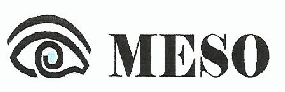 MESO logo 204